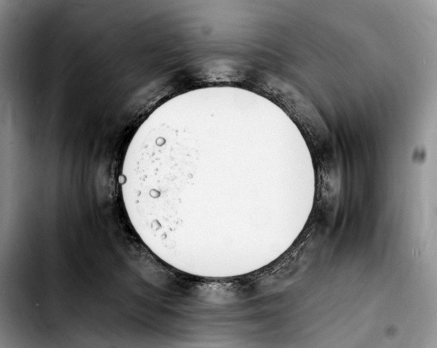 X0000103940422200810101420