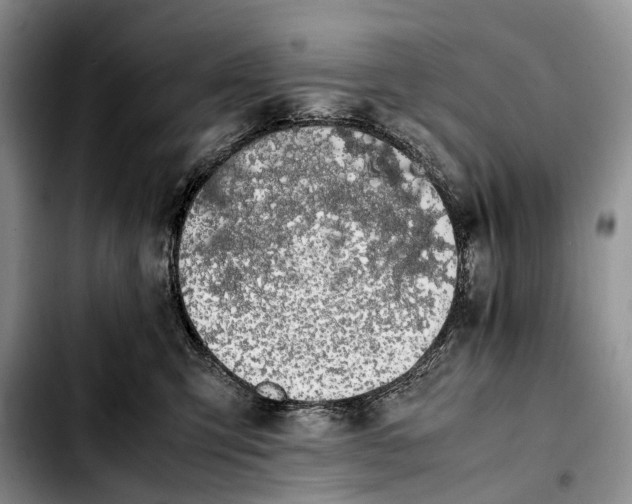 X0000103940423200810101420