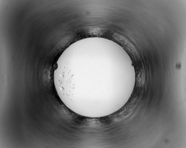 X0000103940424200810101420