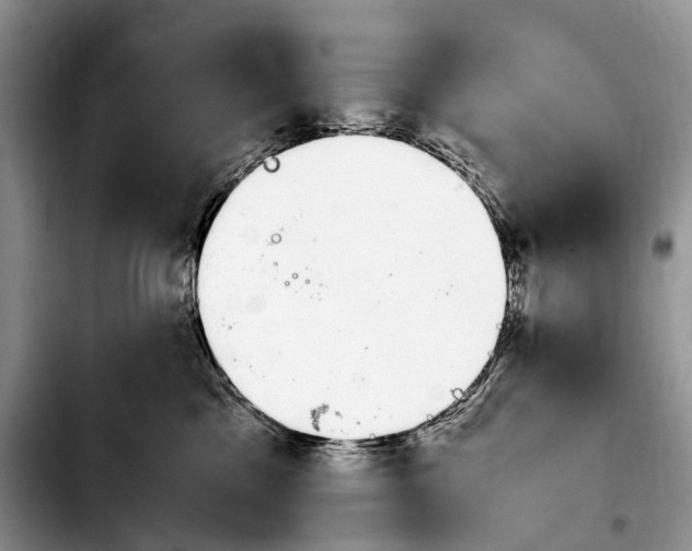 X0000103940425200810101420