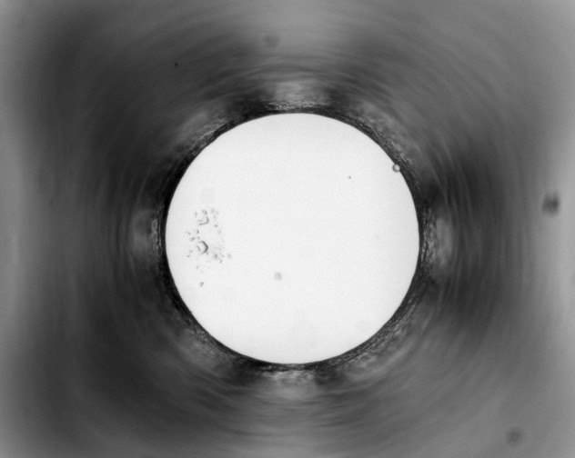 X0000103940426200810101420