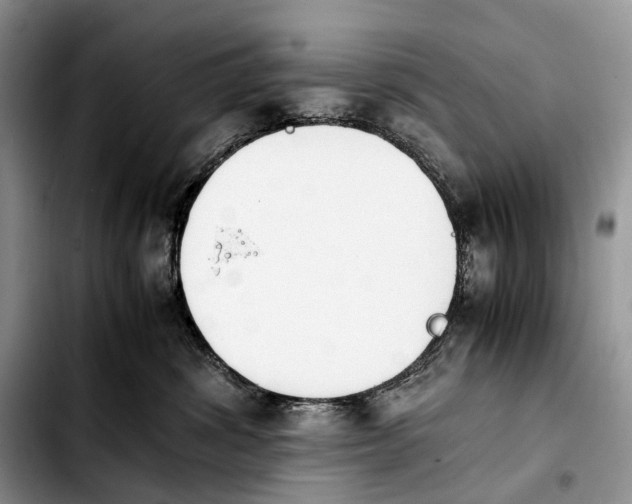 X0000103940428200810101420