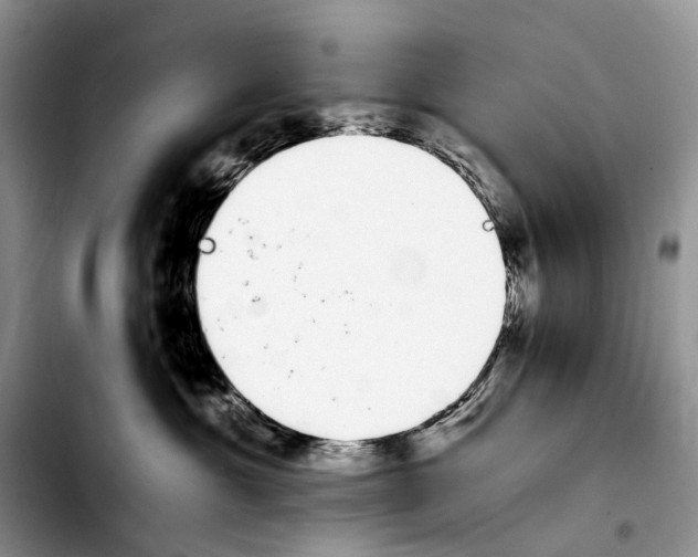 X0000103940429200810101420