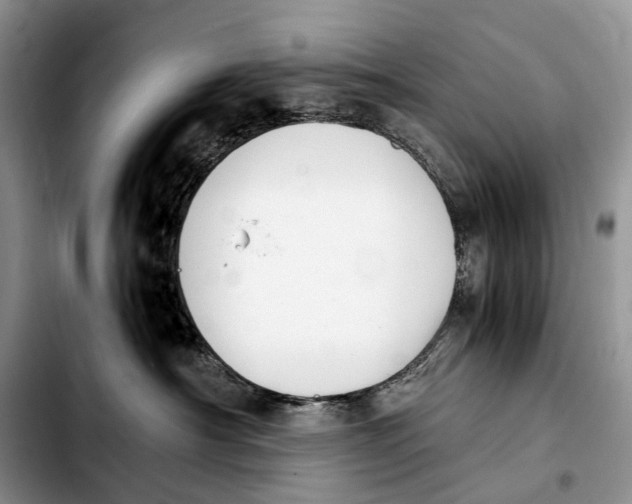 X0000103940430200810101420