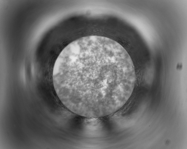 X0000103940431200810101420