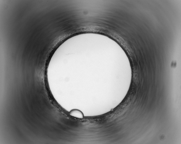 X0000103940434200810101419