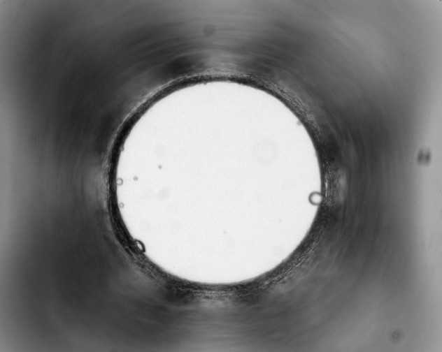 X0000103940436200810101419