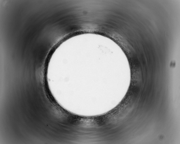 X0000103940440200810101419