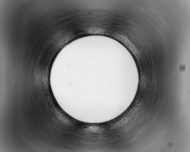 X0000103940441200810101420