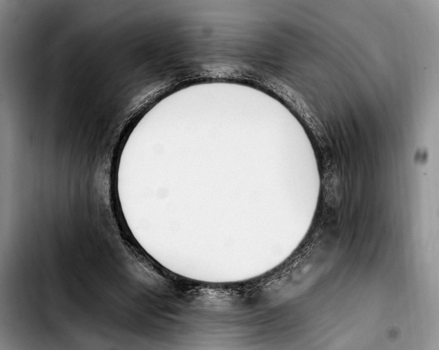 X0000103940442200810101420