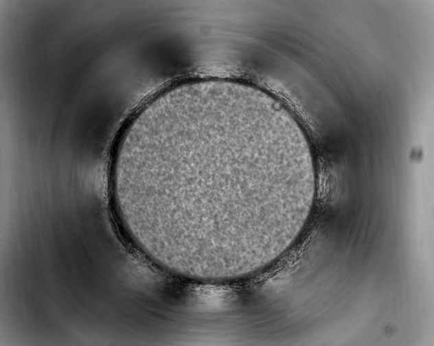 X0000103940444200810101420