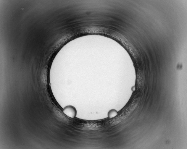 X0000103940445200810101420