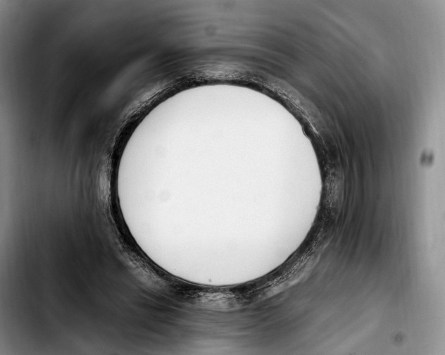 X0000103940446200810101420