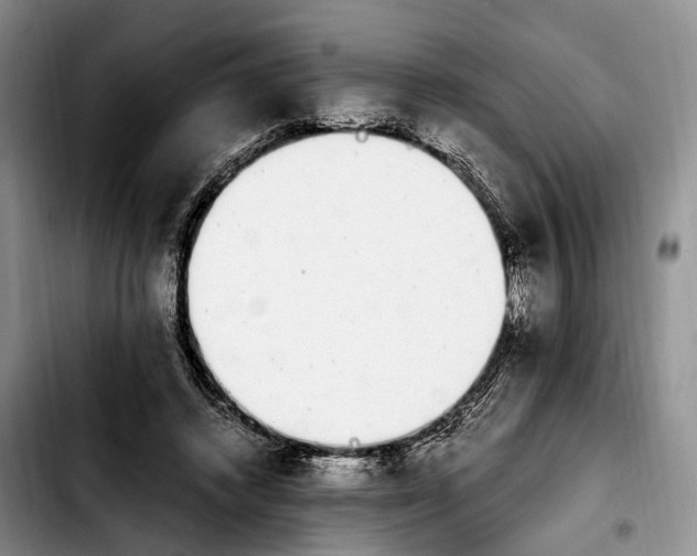 X0000103940448200810101420