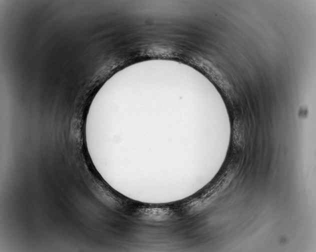 X0000103940449200810101420