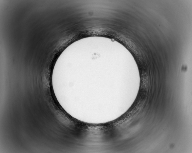 X0000103940450200810101420