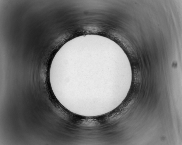 X0000103940451200810101420