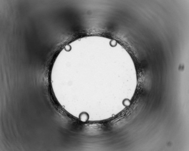 X0000103940452200810101420