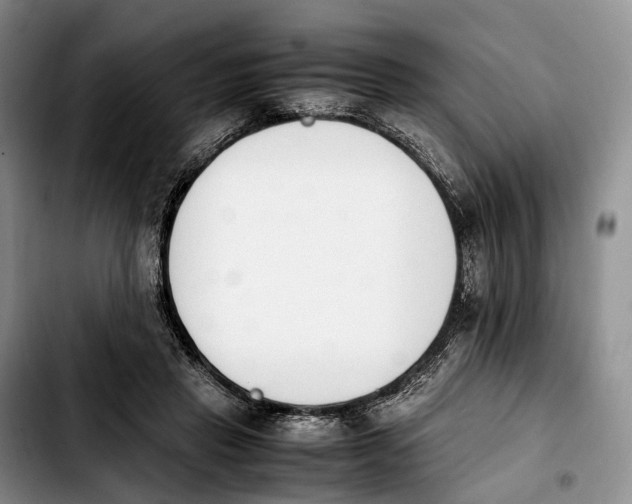 X0000103940453200810101420