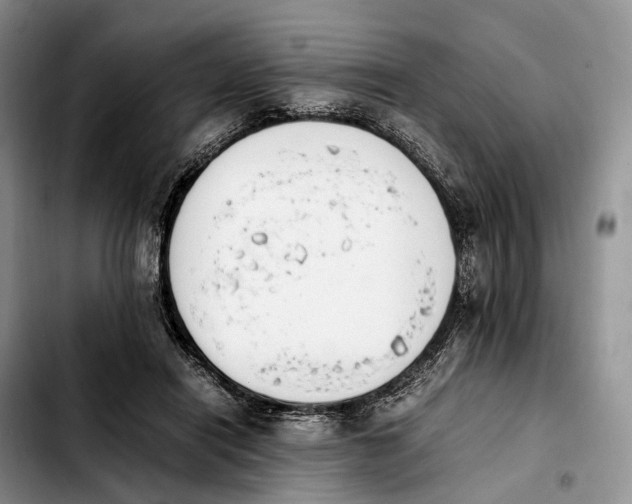 X0000103940454200810101420