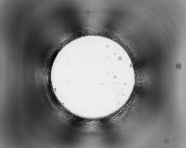 X0000103940456200810101420