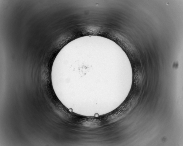 X0000103940459200810101420