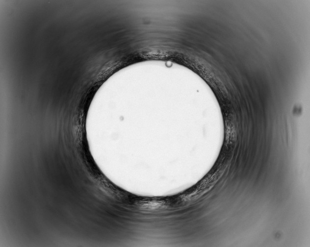 X0000103940460200810101420