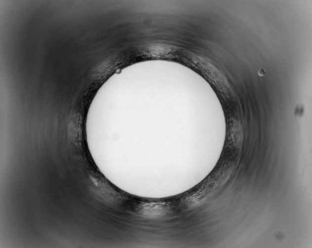 X0000103940461200810101420