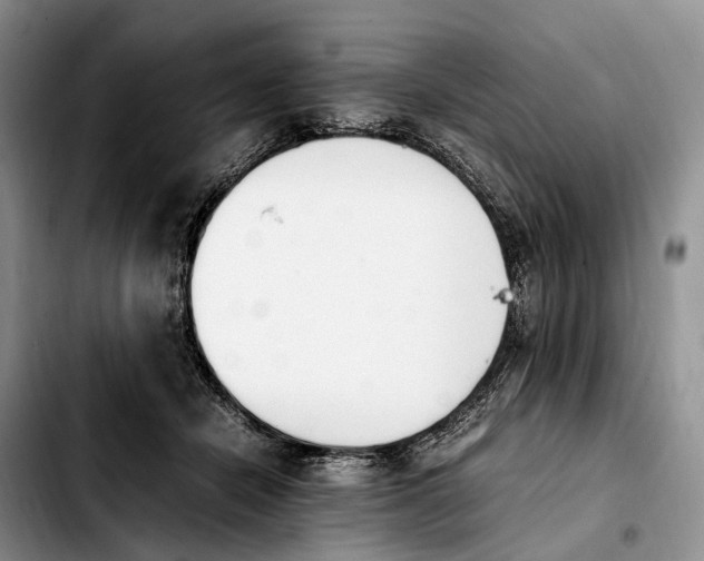 X0000103940462200810101420