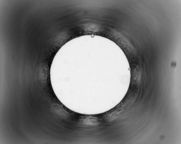 X0000103940463200810101420