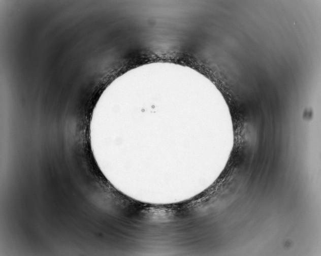 X0000103940464200810101420