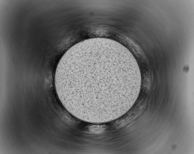 X0000103940465200810101420