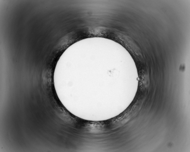 X0000103940466200810101420