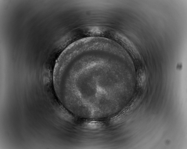 X0000103940467200810101420