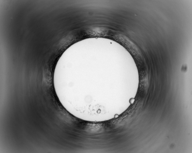 X0000103940469200810101420