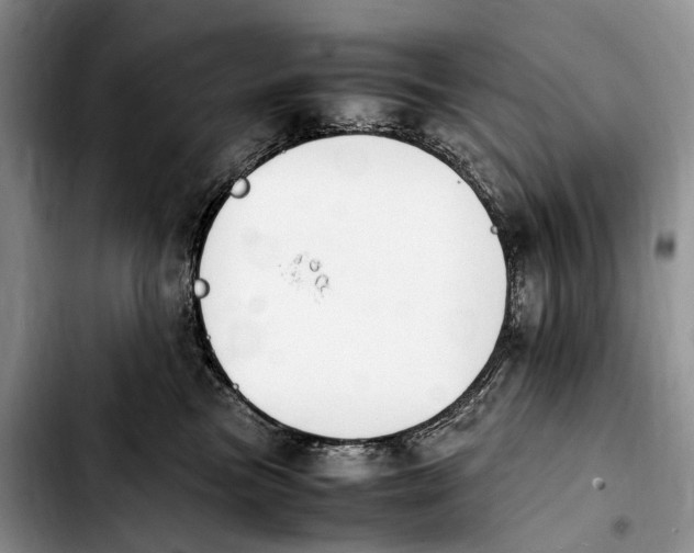 X0000103940473200810101420