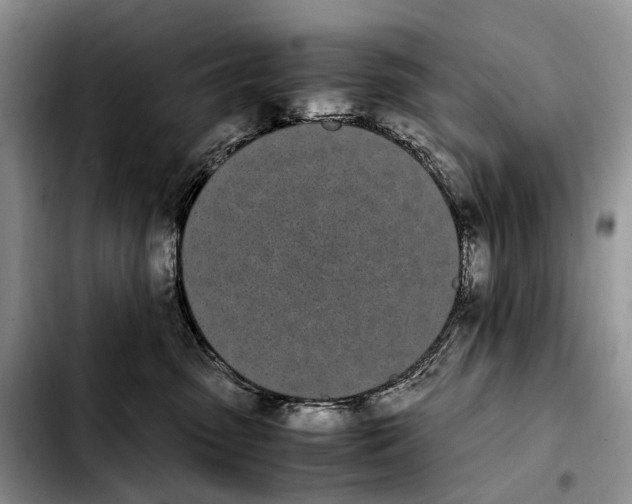 X0000103940475200810101420