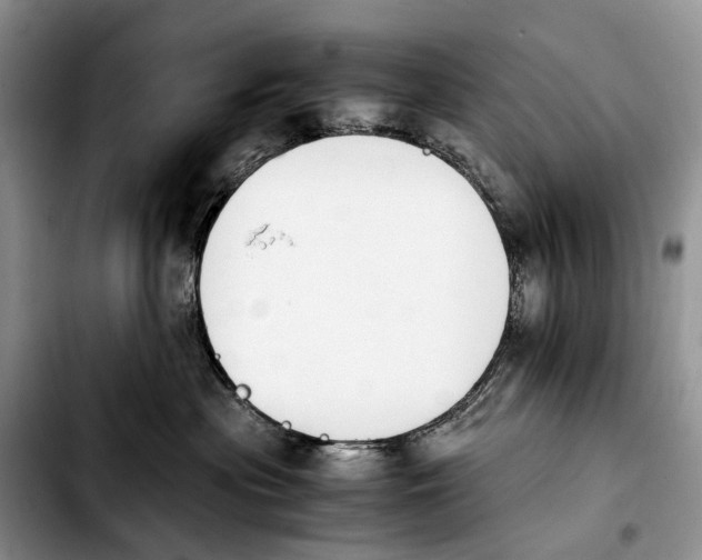 X0000103940477200810101420