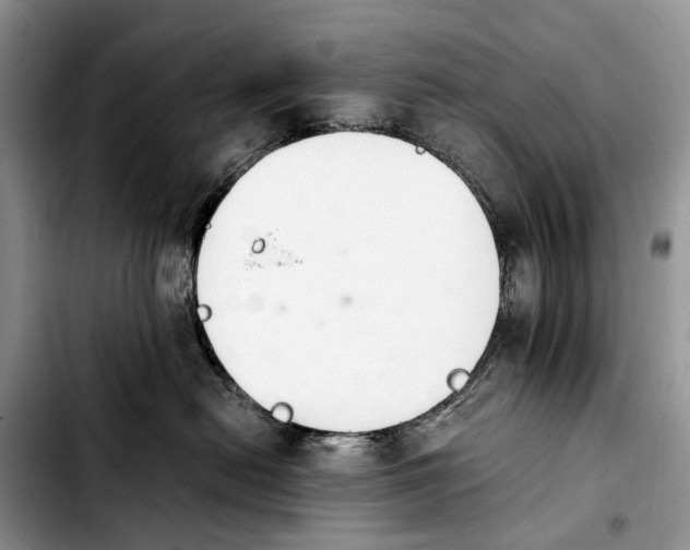 X0000103940478200810101420