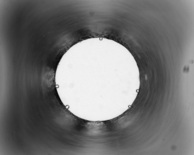 X0000103940480200810101420