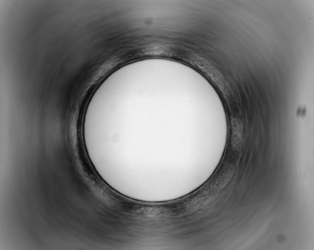 X0000103940482200810101419