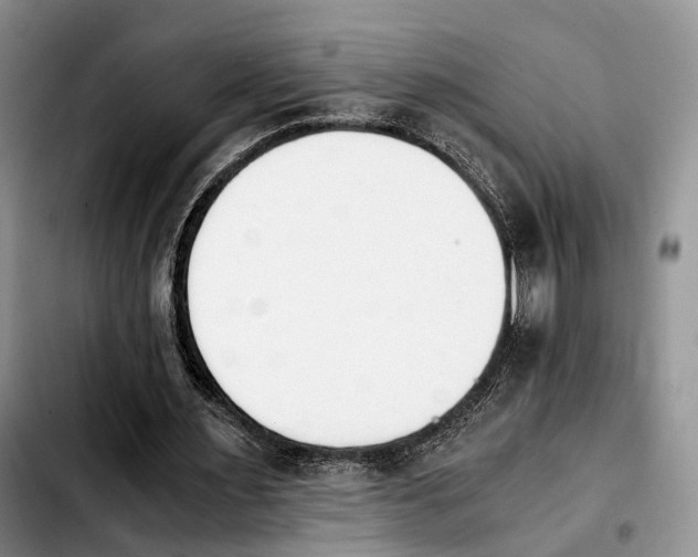 X0000103940483200810101419