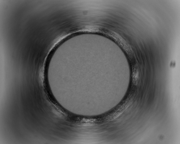 X0000103940484200810101419