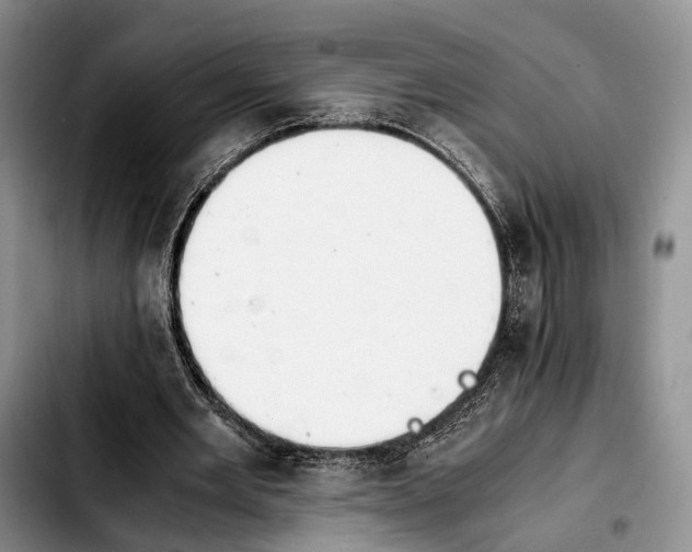 X0000103940485200810101419