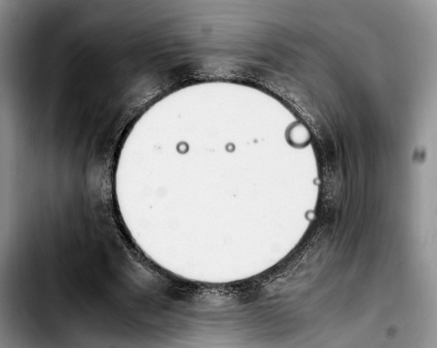 X0000103940489200810101419