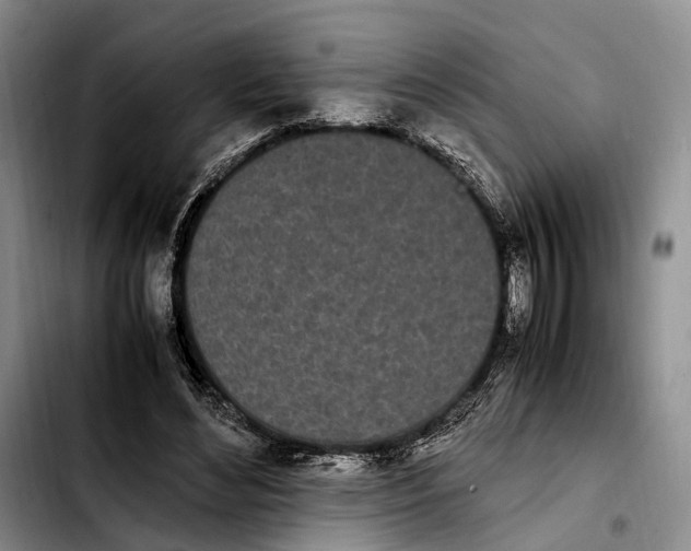 X0000103940492200810101419