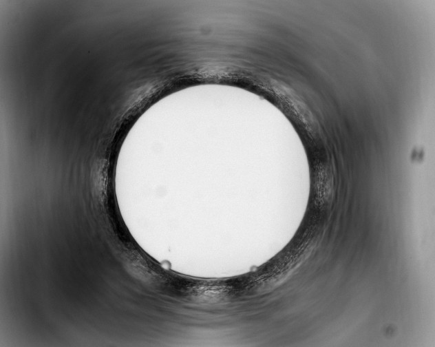 X0000103940495200810101419