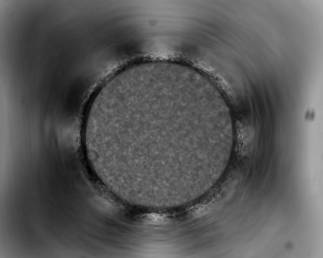 X0000103940496200810101419