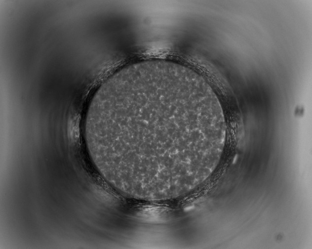 X0000103940504200810101419