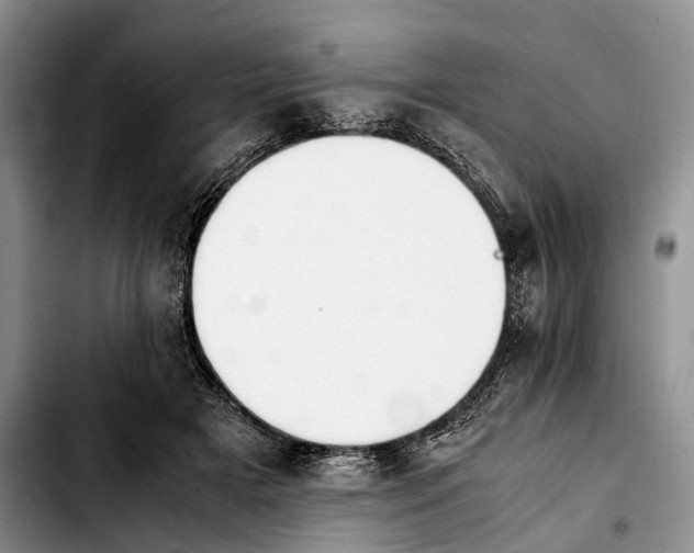 X0000103940505200810101419